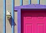 Pink Door_08283